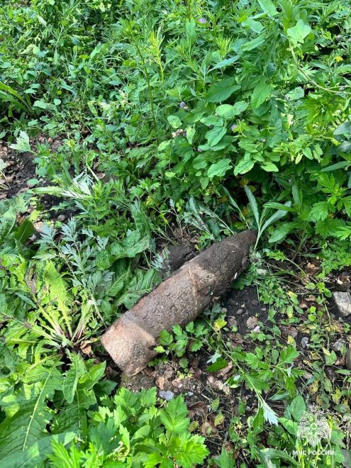 Фото: пресс-служба регионального МЧС