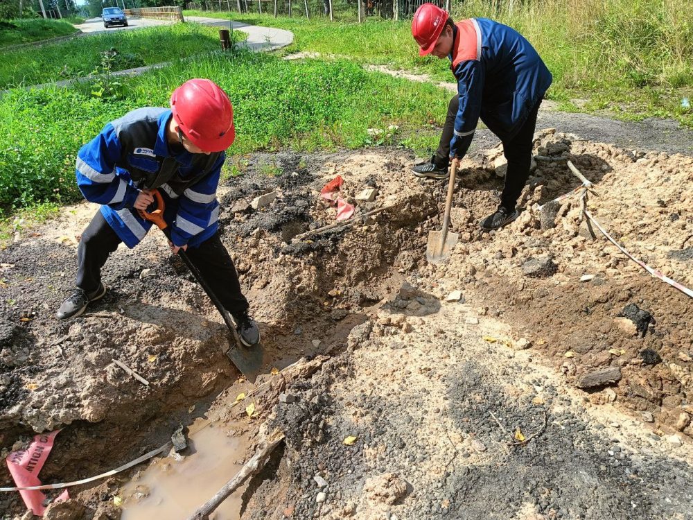 Фото: Россети