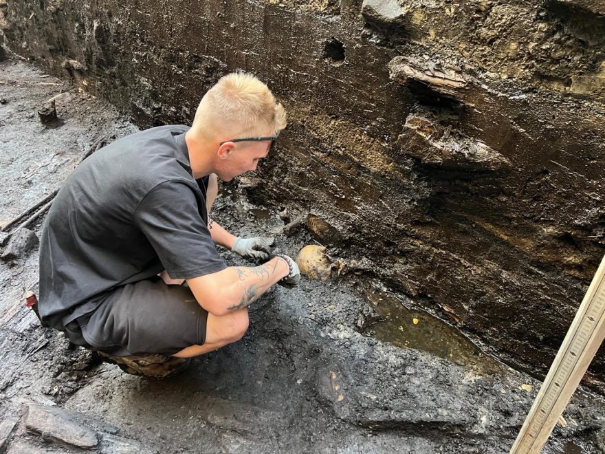 Фото: архив ВИЭМ 