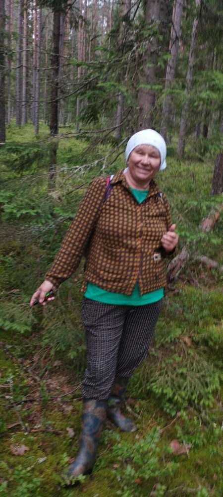 сбор черники