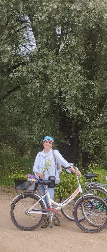 сбор черники