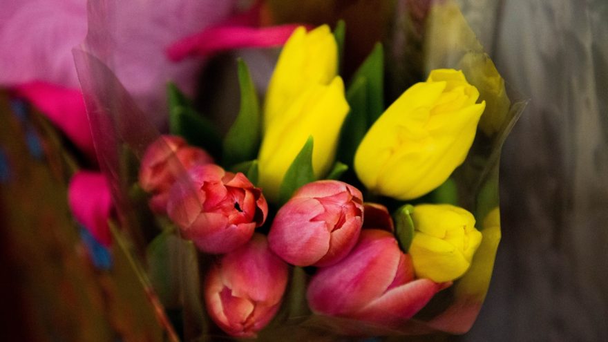 hU3BOzrgAUkvcHCnvh ZTyUBpnAKSxLkSCg6G4UhgPuqLf EqDubTrvztQf 14a6wdfljY4tskTNxwfnjLjlpG2x