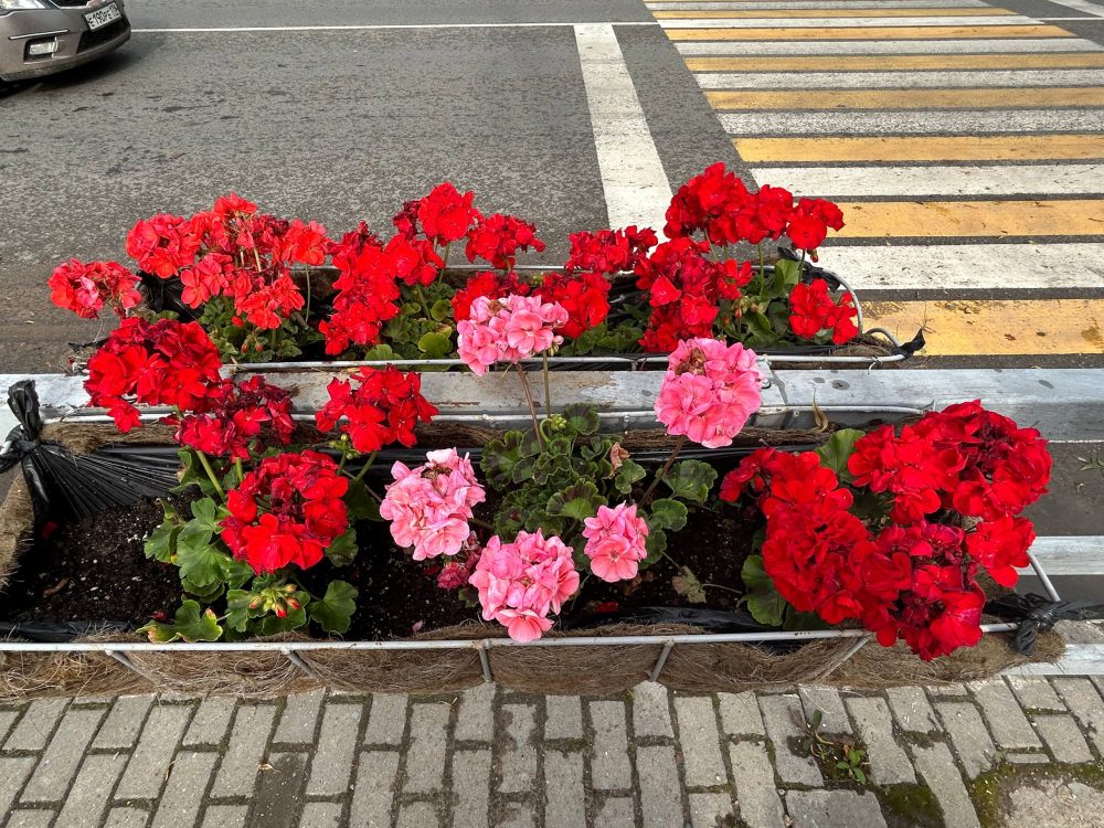 вышний волочек