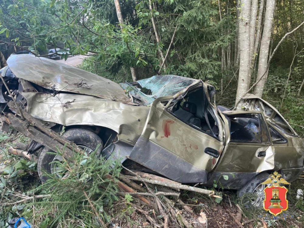 Фото: УМВД России по Тверской области