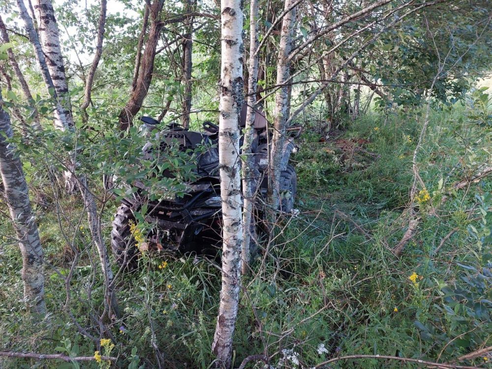 Фото: областной СКР