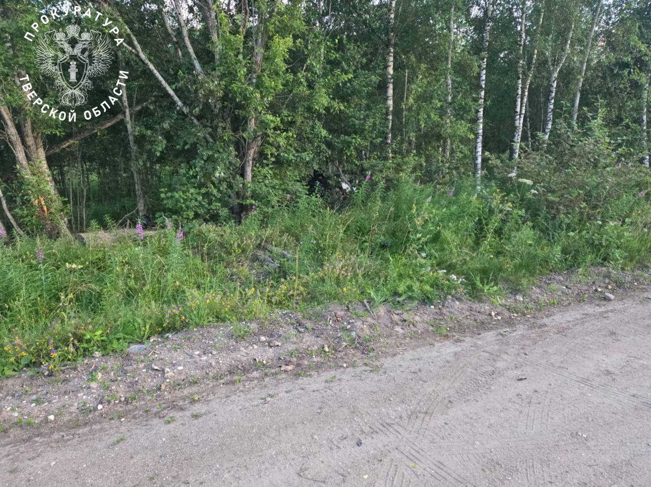 Фото: прокуратура Тверской области