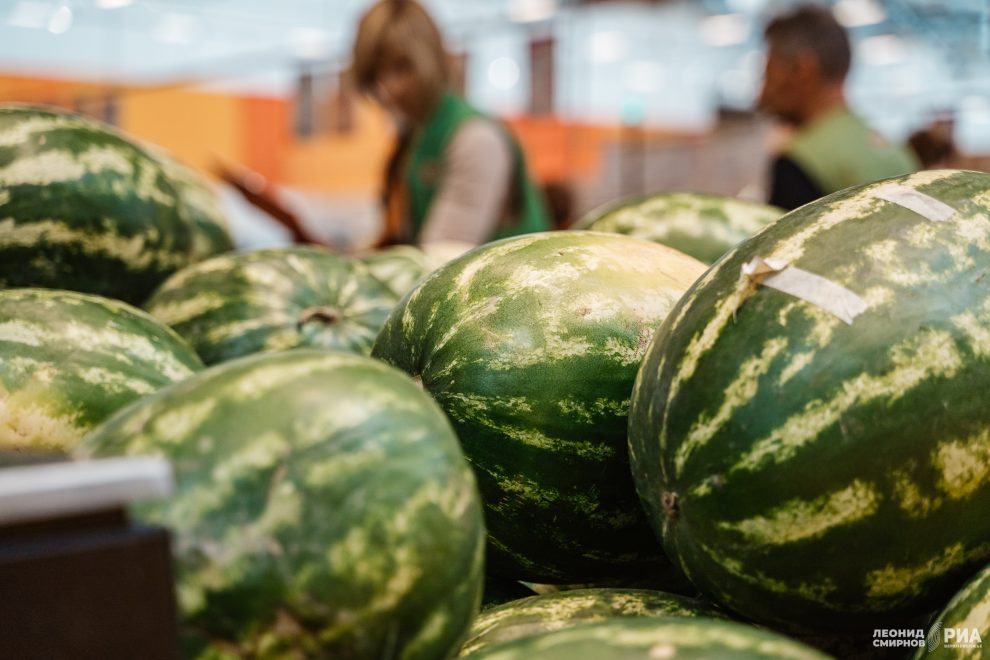 Фото: Леонид Смирнов/РИА Верхневолжье