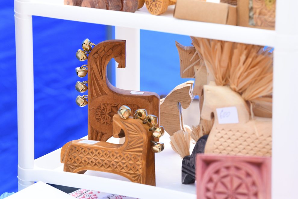 Раек, ВИЭМ, фестиваль (17)