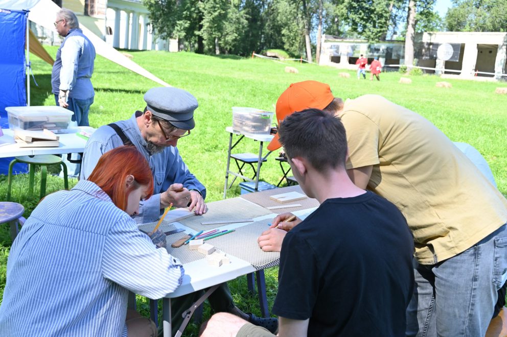 Раек, ВИЭМ, фестиваль (18)