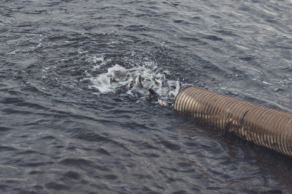  Управление коммуникаций КАЭС. (3)