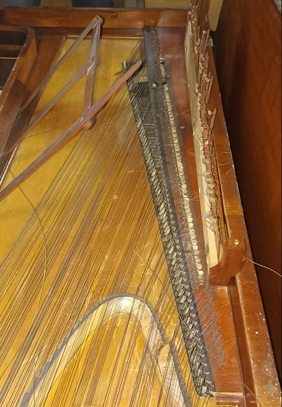 Фото из архива ВИЭМ (1)