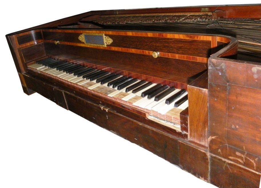 Фото из архива ВИЭМ (4)