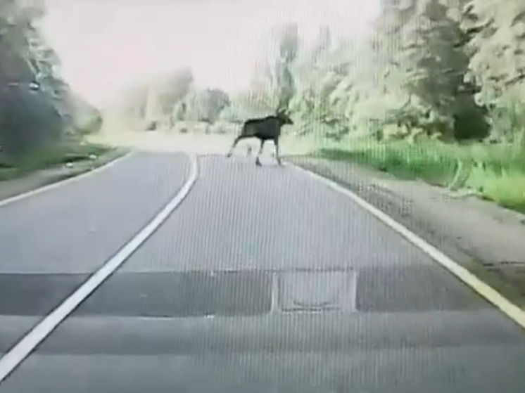 Фото: скрин с видео 
LIFE г.Торжок