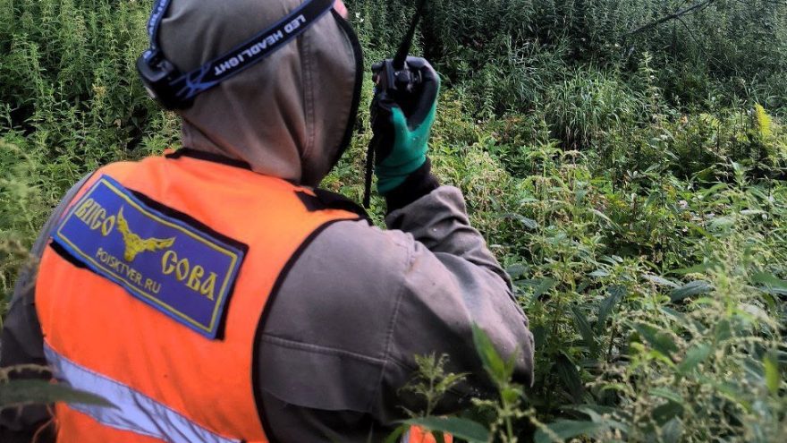 сова, поиск, волонтер