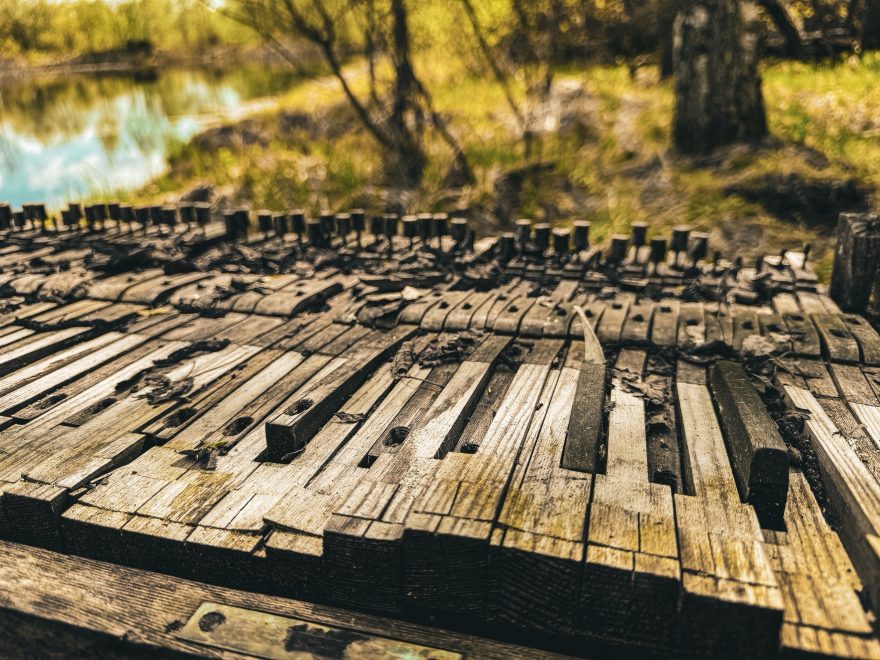 Фото: Екатерина Царева