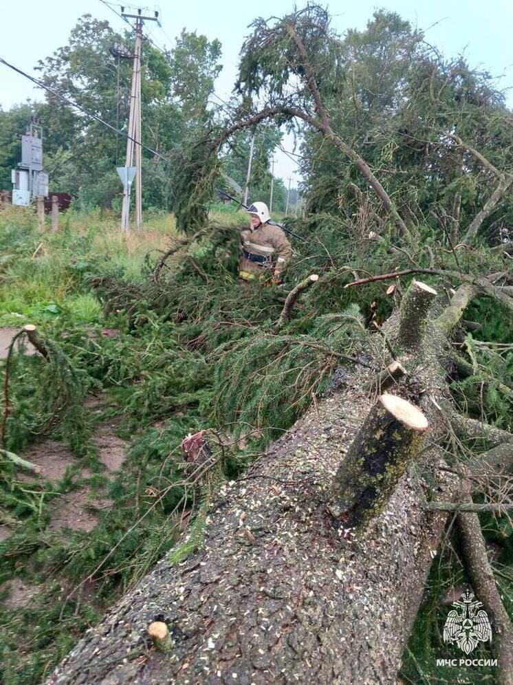 Фото: МЧС России по Тверской области