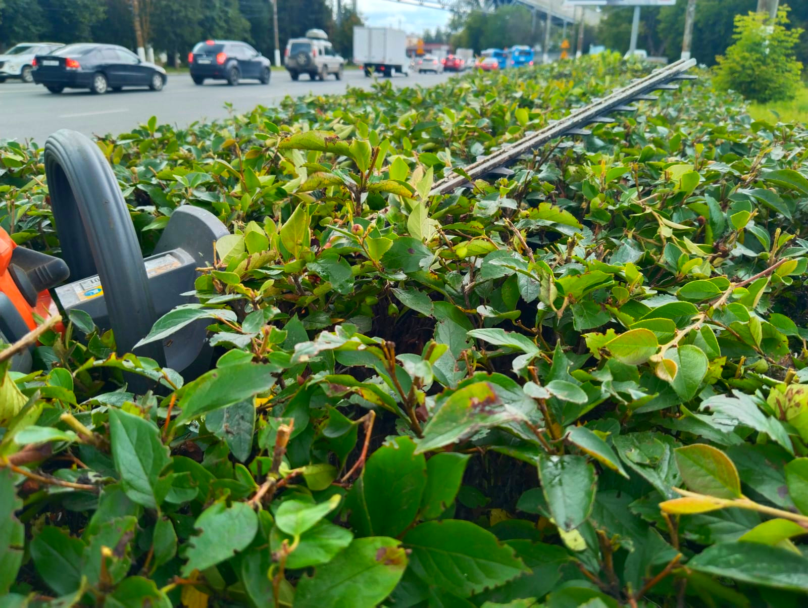 Фото: отдел информации и аналитики Администрации города Твери