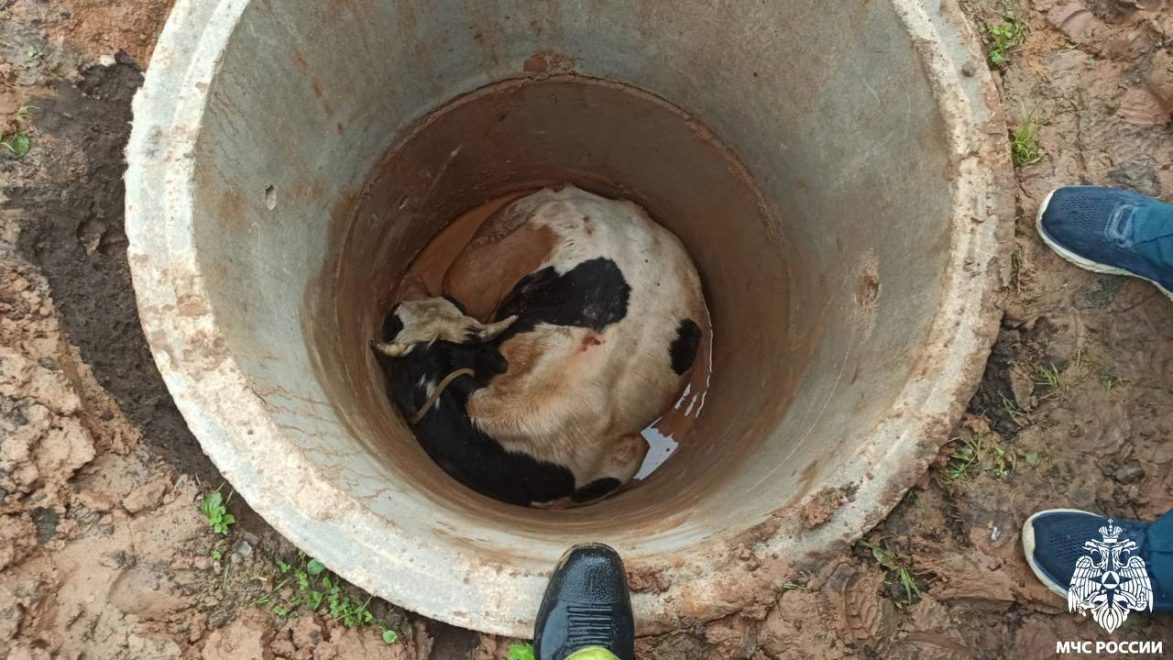 Фото: МЧС