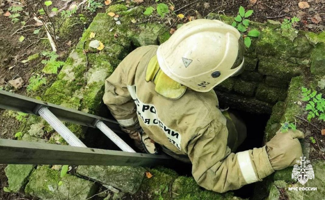 Фото: МЧС