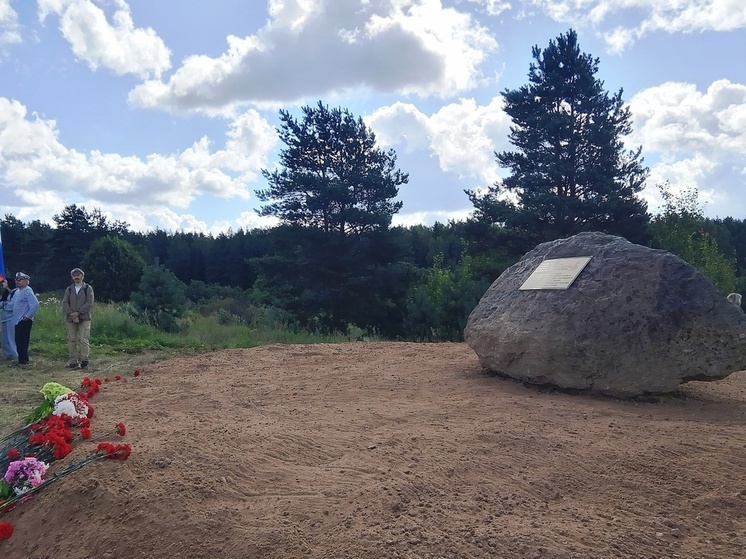 Фото: Андреапольский муниципальный округ