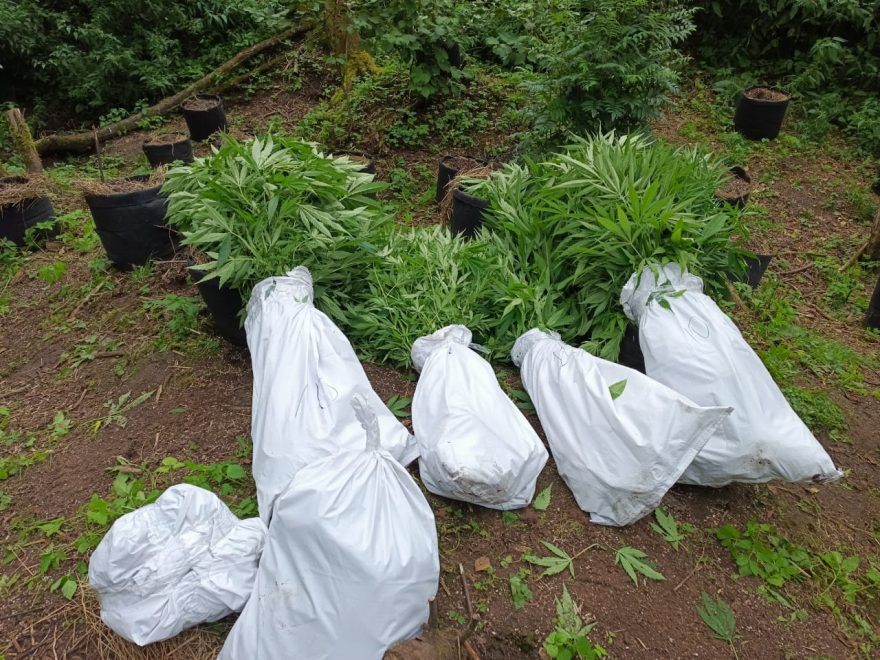 Фото: УМВД по Тверской области