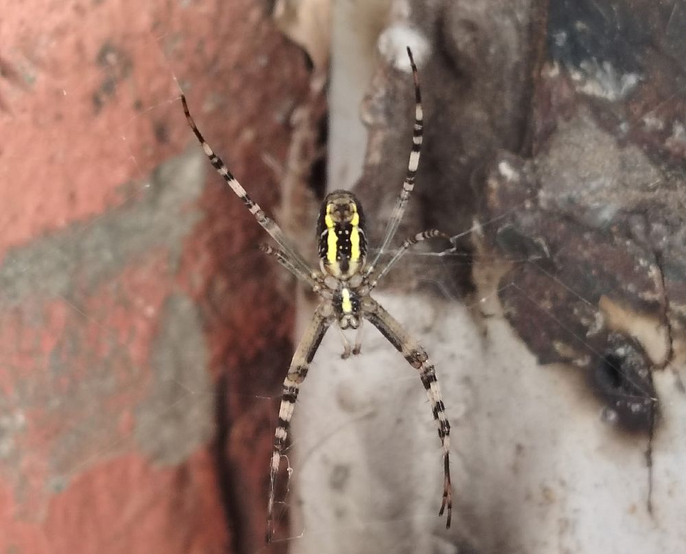 Фото: Елена Смирнова/Тверь Натуральные новости ВКонтакте
