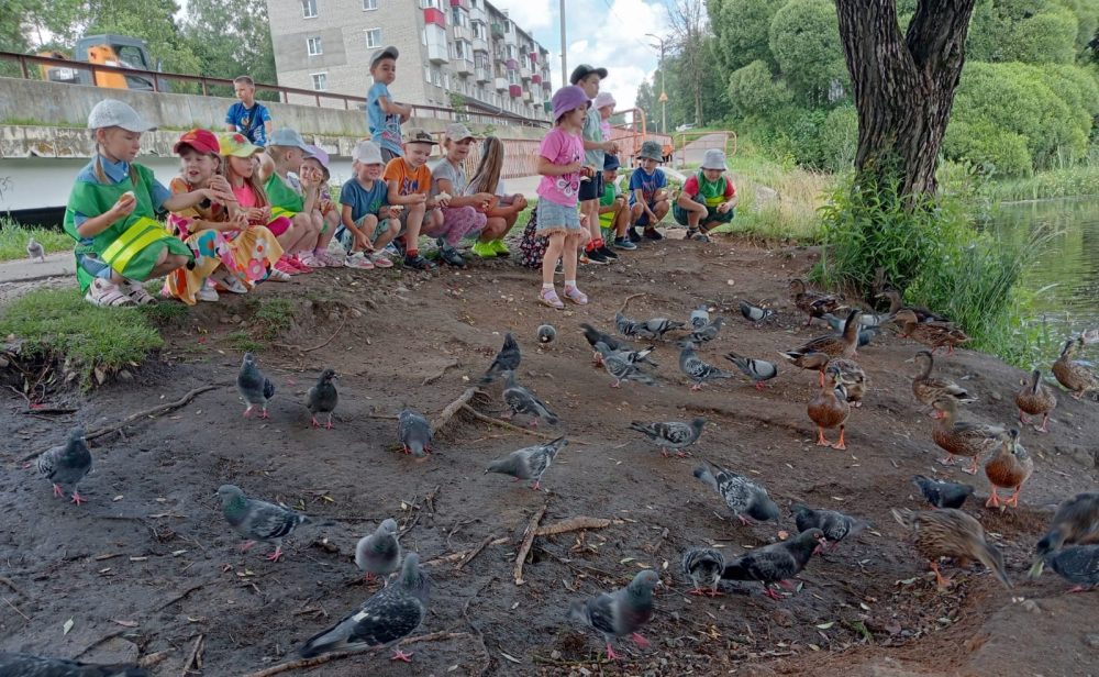 Фото: детский сад № 3 города Нелидова
