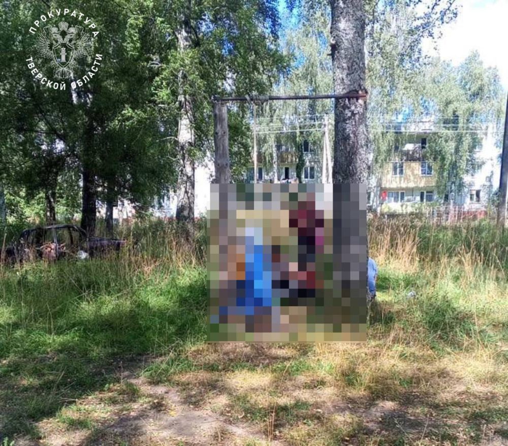 гибель ребенка, старицкий округ