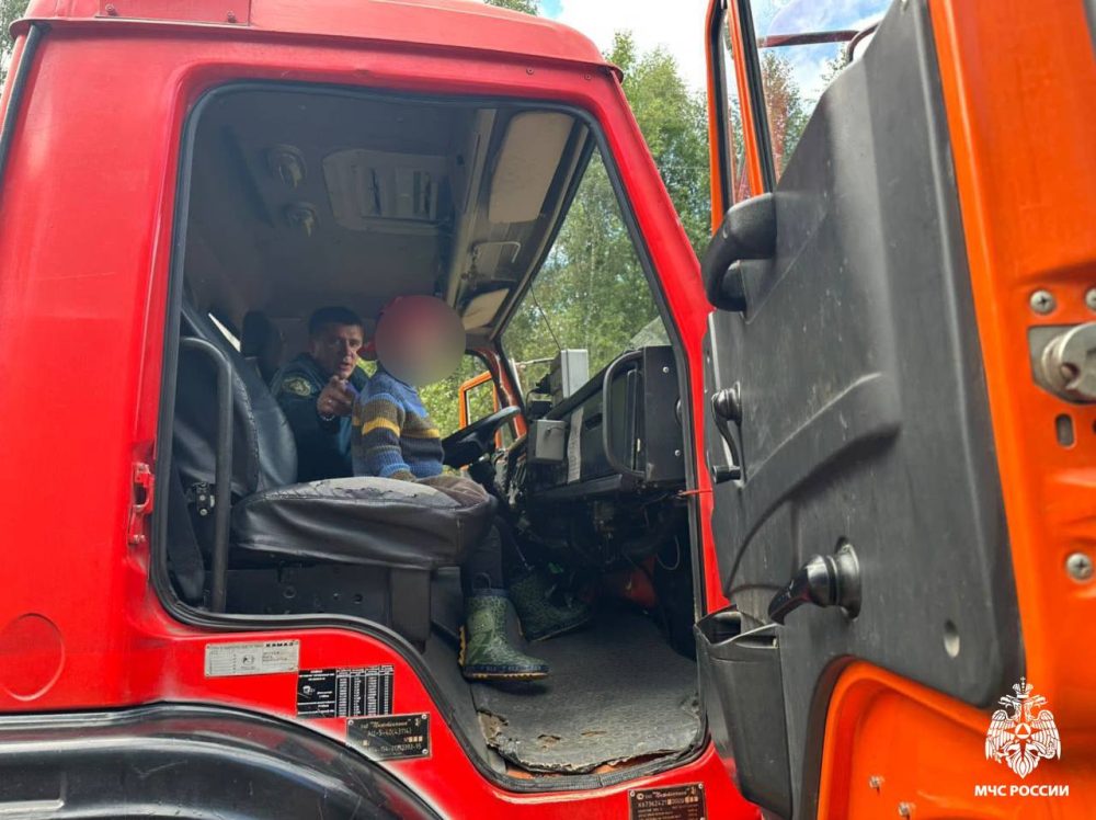 юный грибник, фировский округ