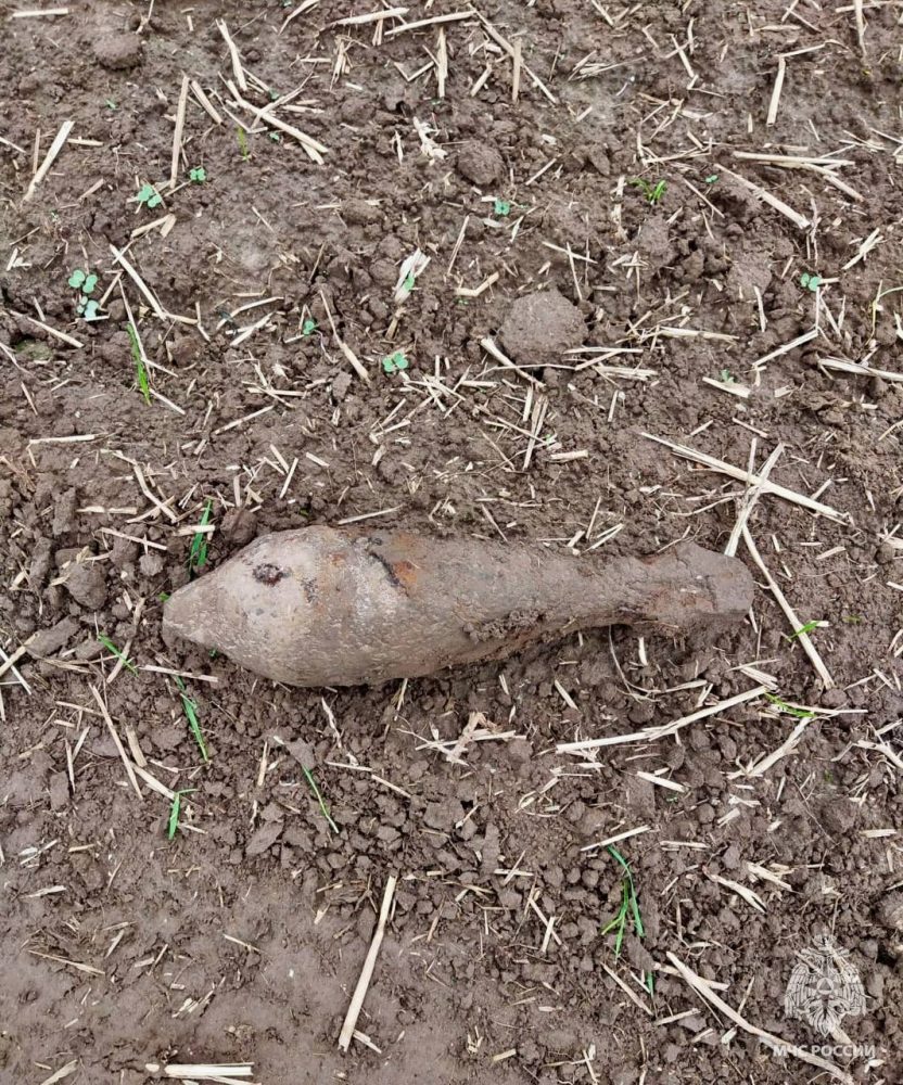 минометная мина