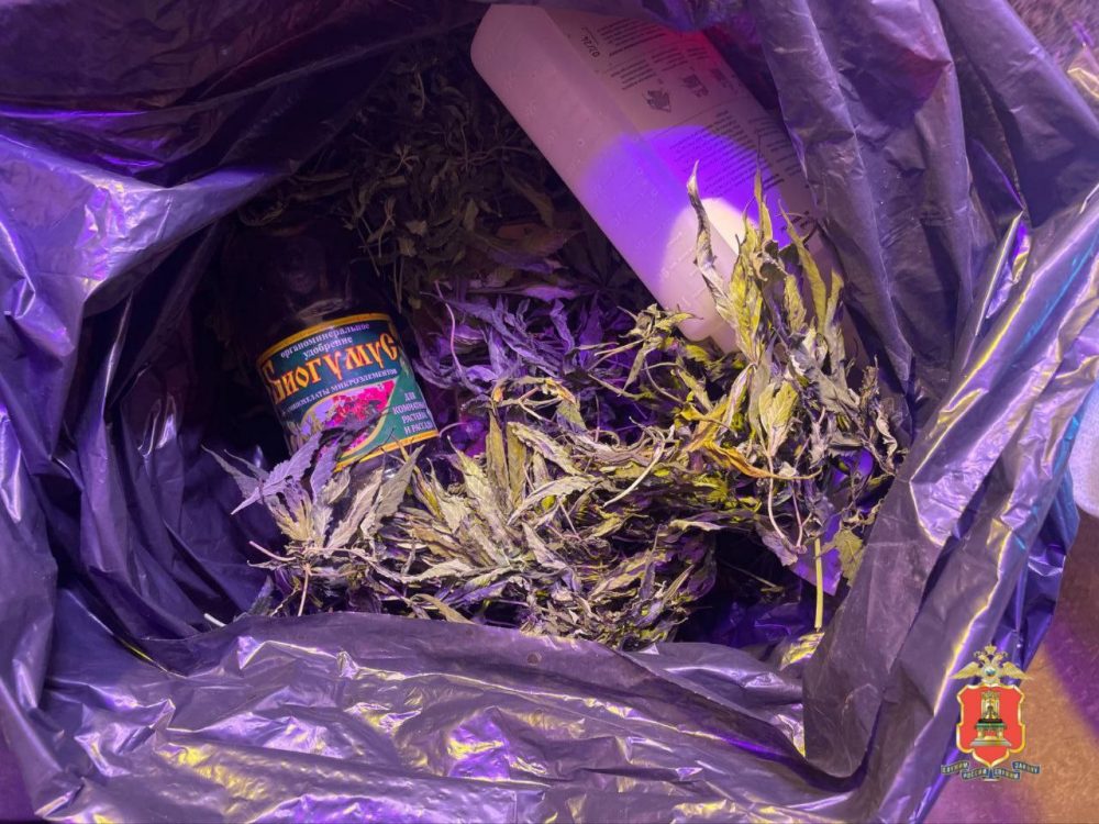 ликвидация наркофермы, конаковский округ