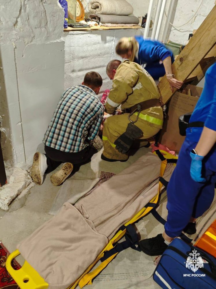 помощь в погрузке, старица