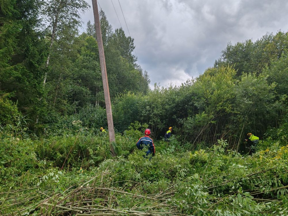 Фото: Россети