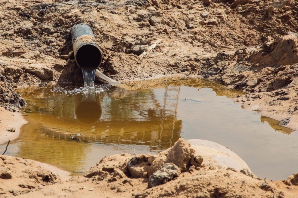 Фото: Кристина Белякова