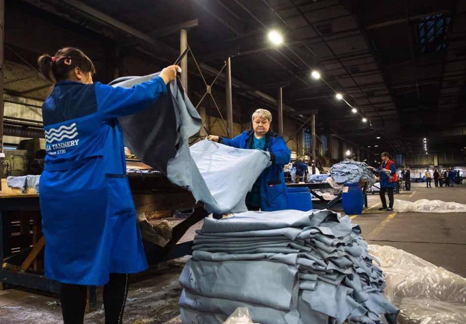 Верхневолжский кожевенный завод получил шанс на перезагрузку