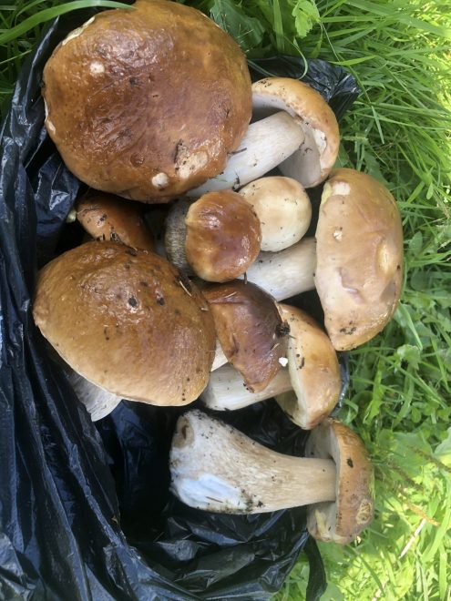 Фото: Екатерина Михня/РИА Верхневолжье