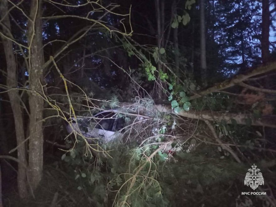 дтп максатиха2