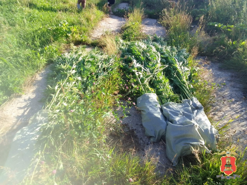 Фото: Пресс-служба УМВД России по Тверской области