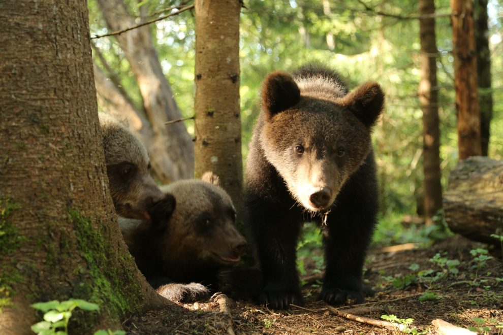 Фото: ВК-сообщество 