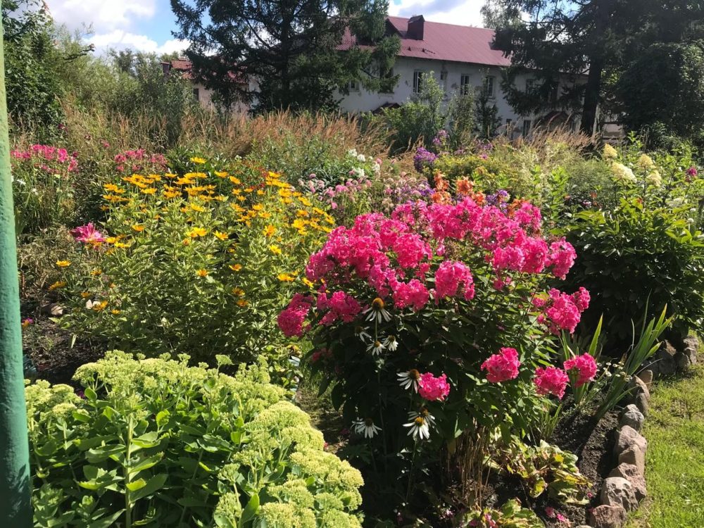 цветы, нелидово