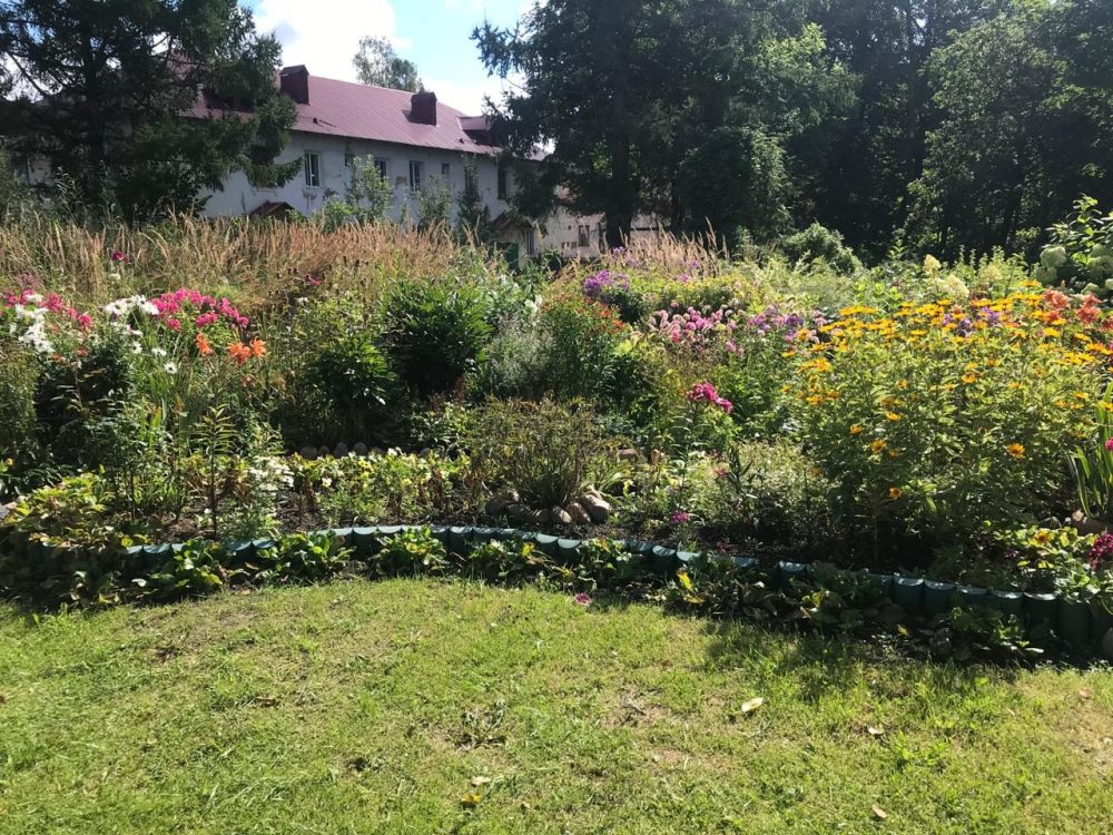 цветы, нелидово