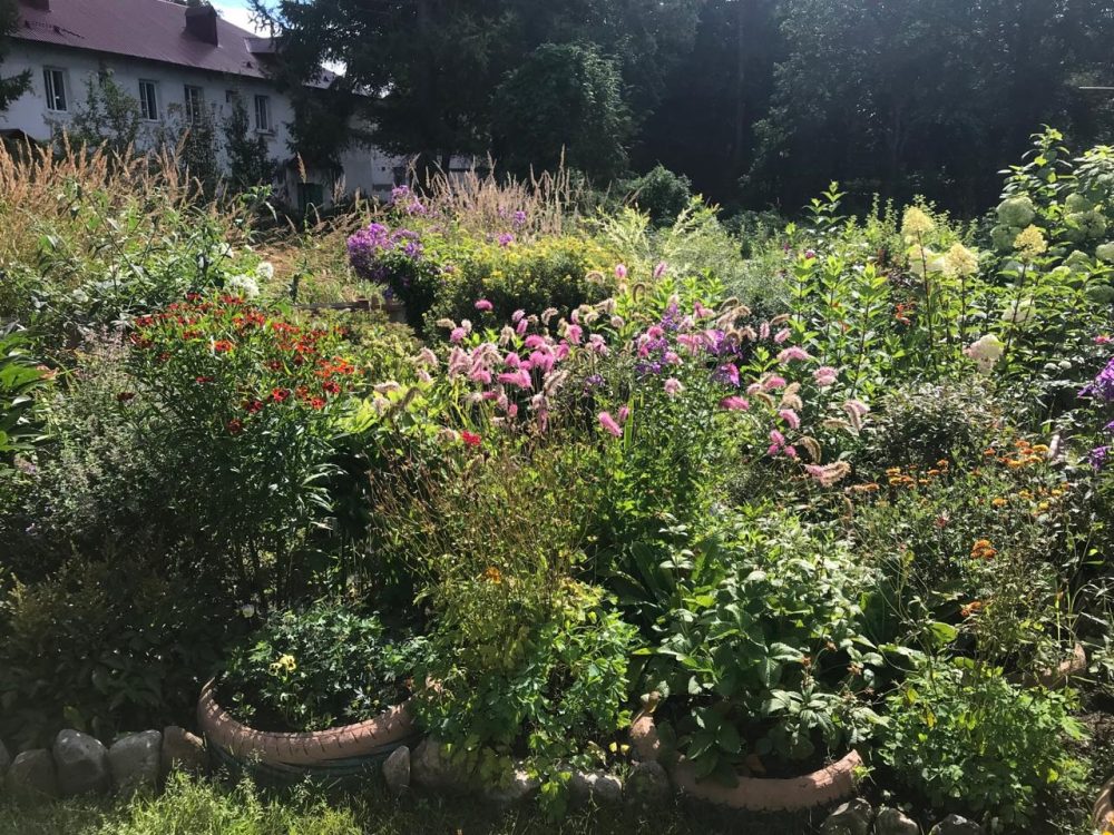 цветы, нелидово