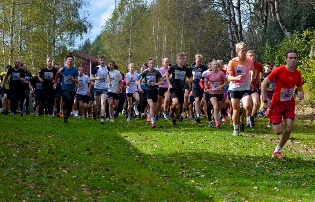 Кросс нации 2025