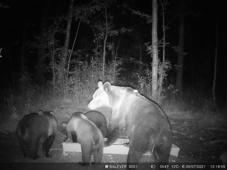 Фото: Оленино - наш дом