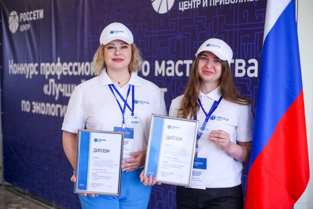 Фото: Ольга Нечаева/ПАО «Россети Центр»