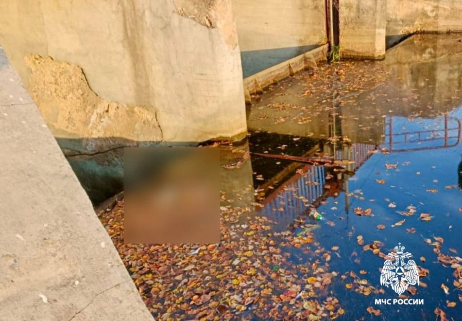 Фото: пресс-служба регионального МЧС