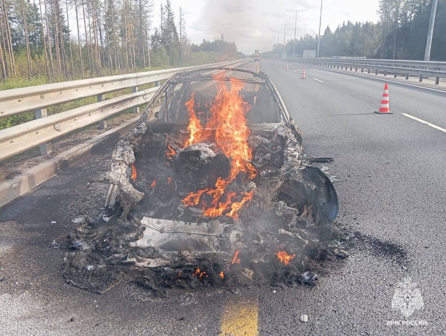 Фото: пресс-служба регионального МЧС