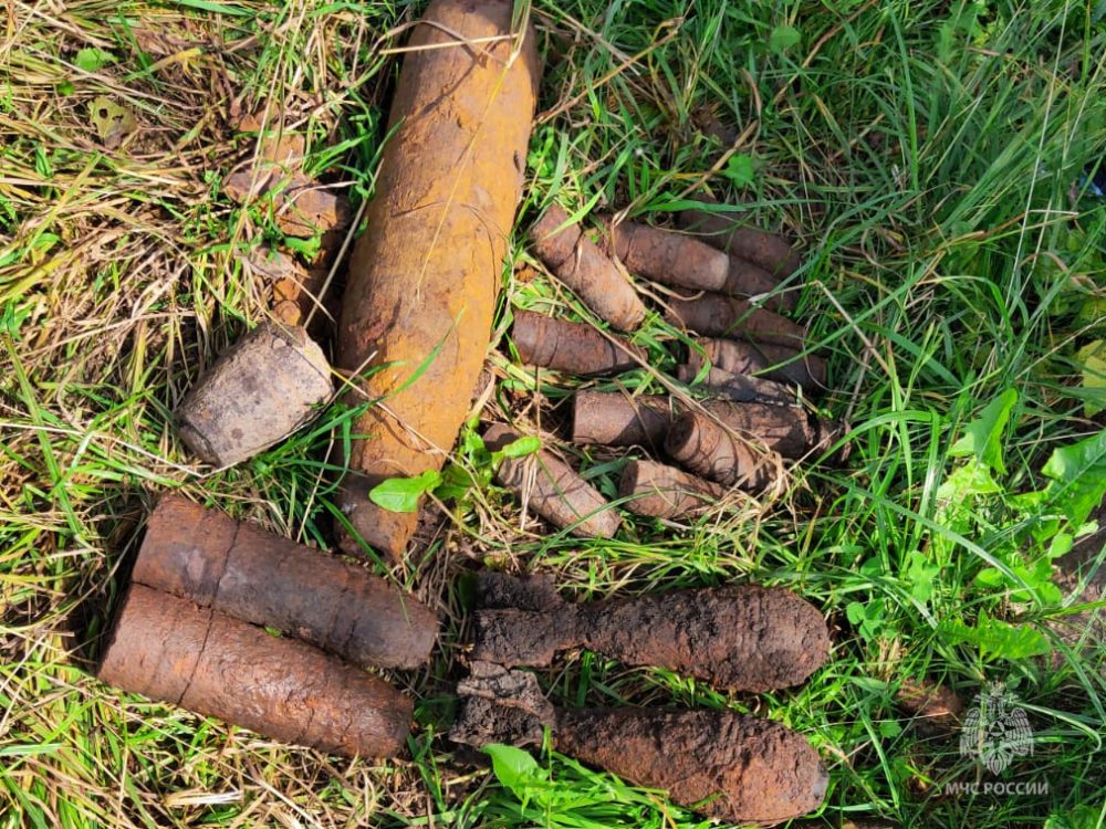 Фото: МЧС России по Тверской области