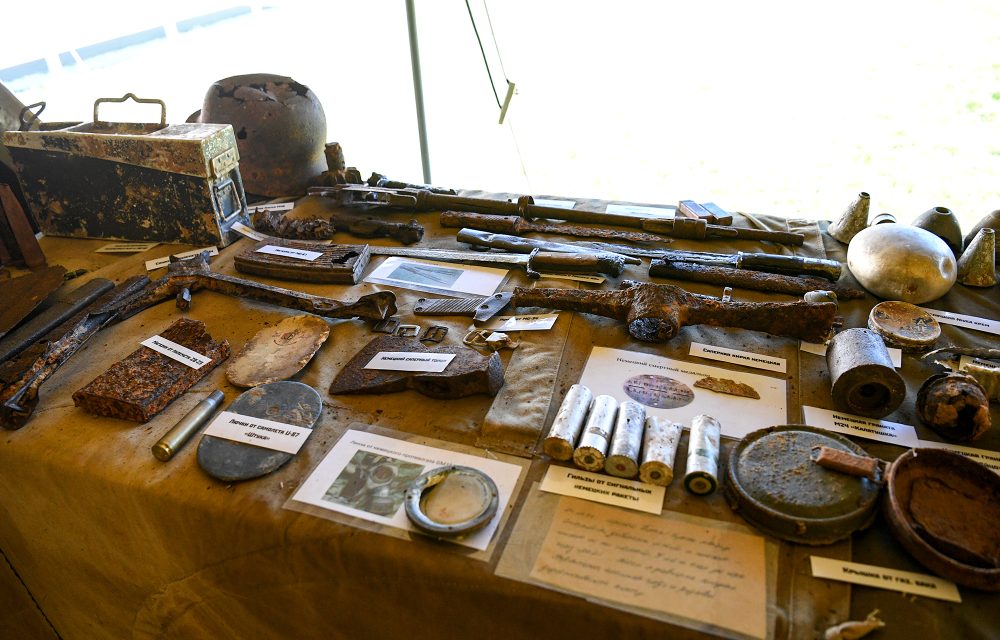 дмитрий медведев, ржевский округ