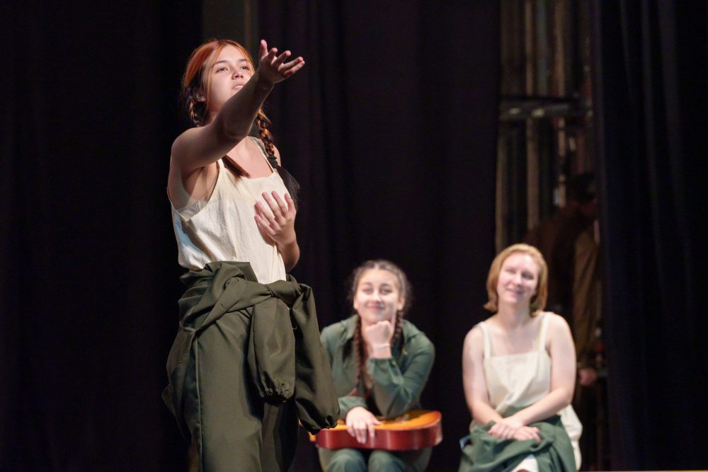 фестиваль, удомля